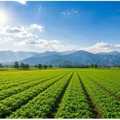 Farm Lands