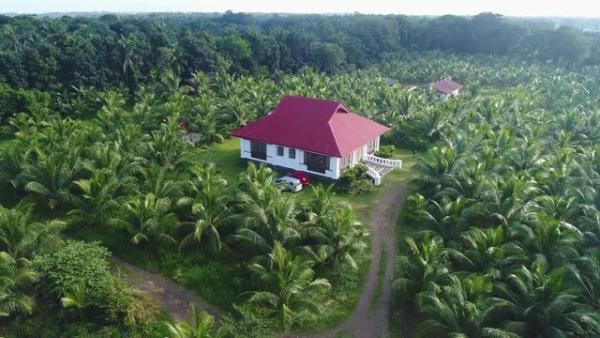 Farm Lands