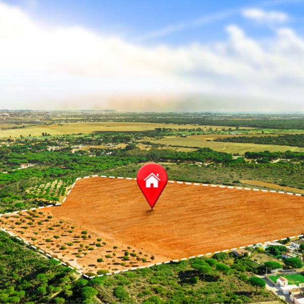 Open Lands